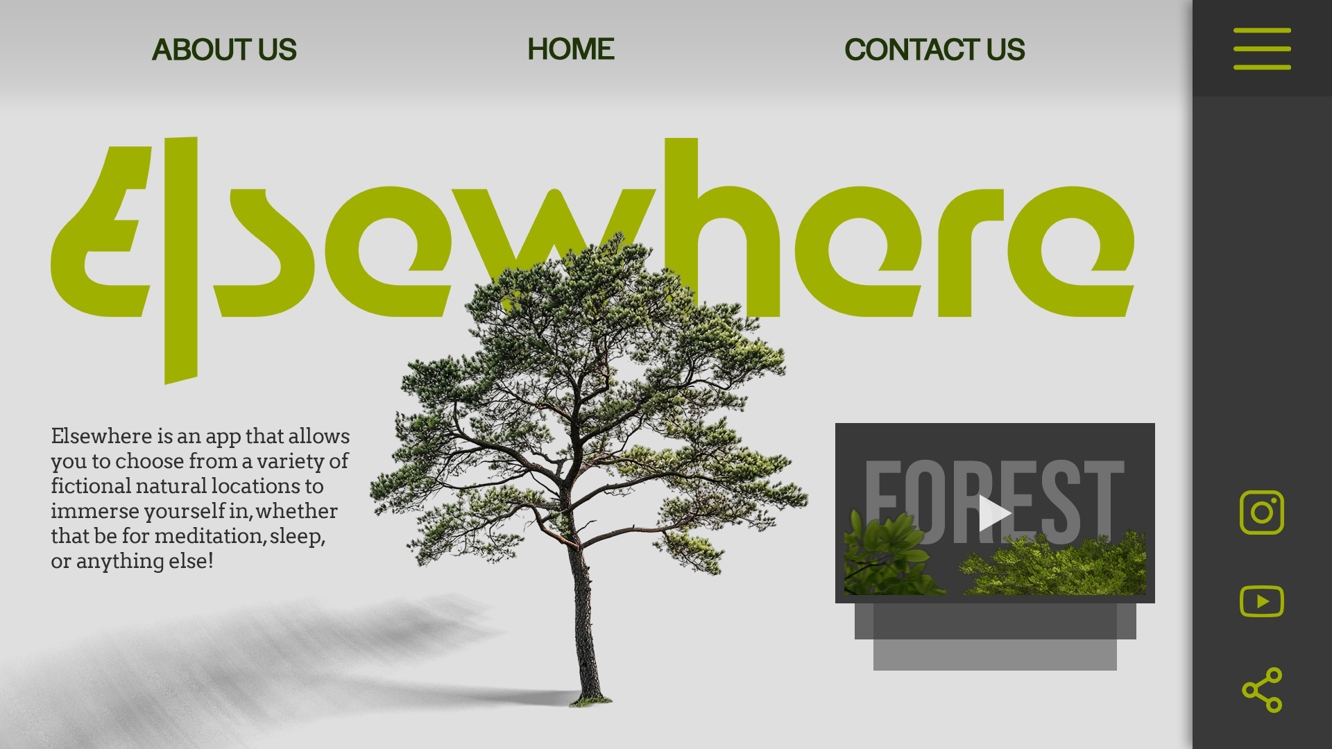 Mindfulness Website Concept