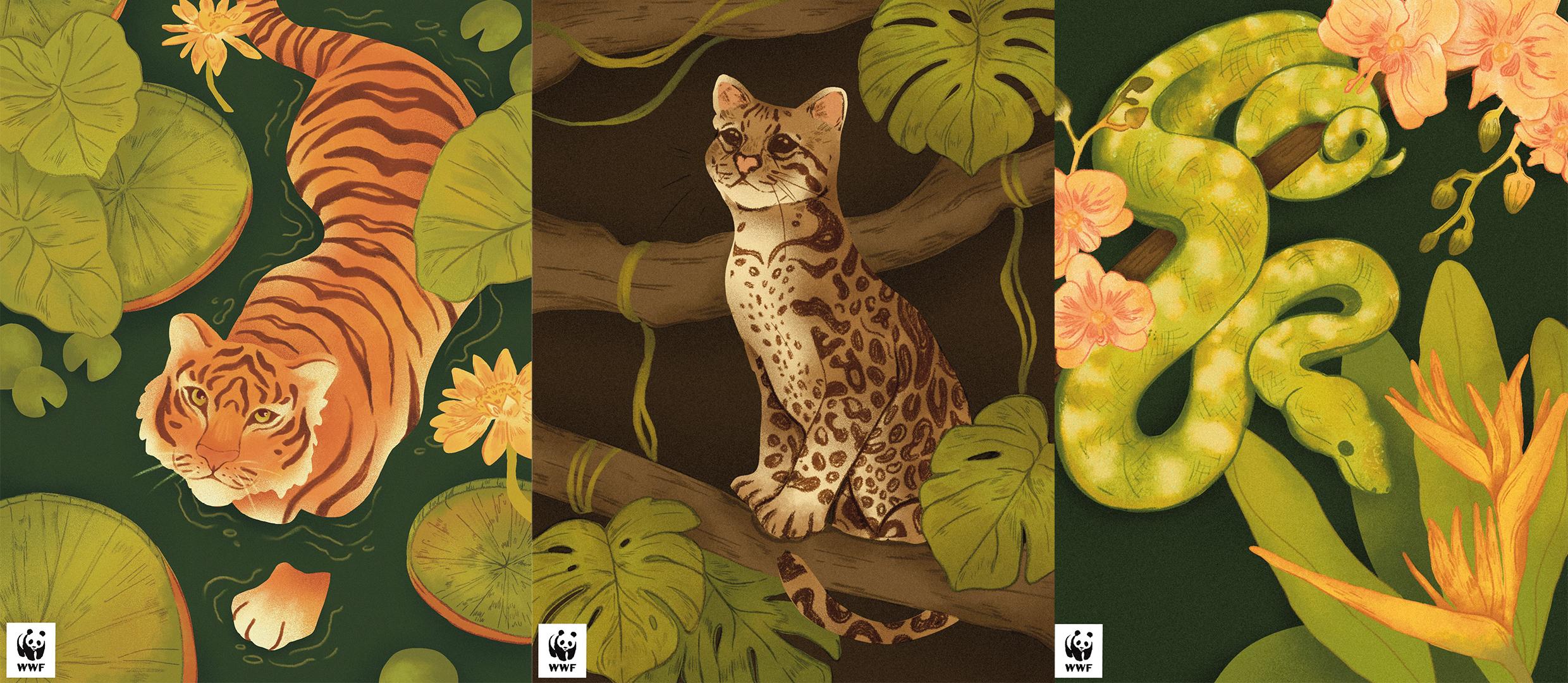 A series of illustrations for WWF UK exploring the flora and fauna of tropical rainforests