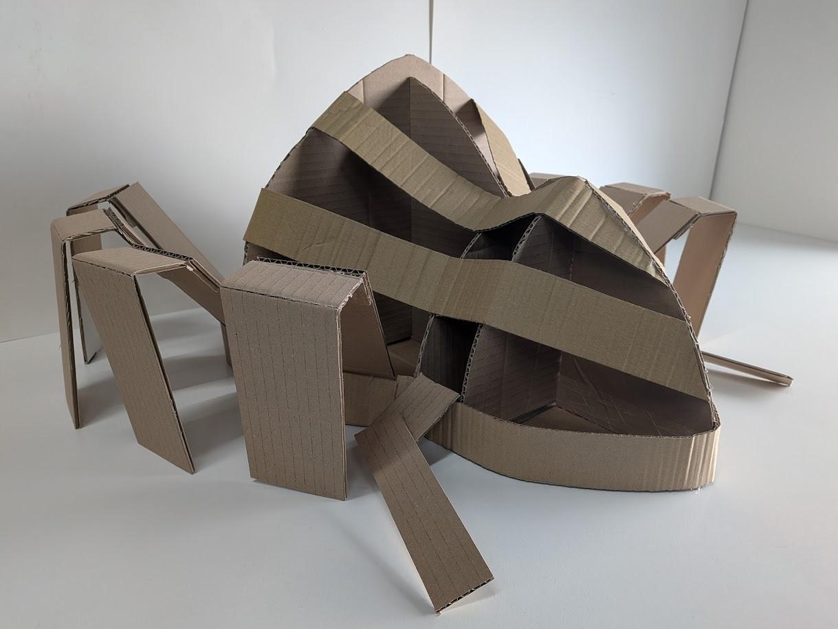 Spider Model