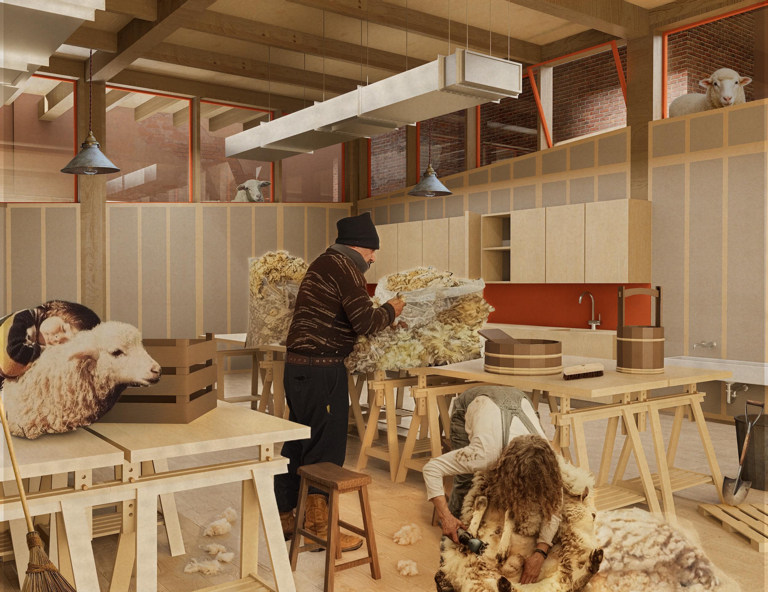Shearing Workshop